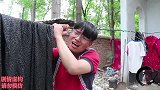 老师让学生干活，结果小六使唤小丸子自己却偷懒，结局真解气