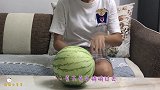 猫咪偷吃西瓜被主人抓现行，喵：主人给的西瓜没有偷吃的甜！