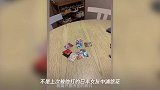 蒋劲夫再次家暴国外女友,家暴问题引网友热议