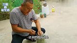 这波操作专门为粉丝朋友做的，各种长寿花秋天送大家希望别嫌弃