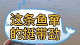 上钩了，窜的挺带劲