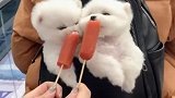 麻麻说了不让乱吃别人的东西