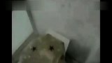 马桶放炮可不是好玩的
