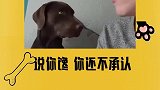 男孩侧颜太好看了吧！