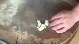 鱼香冬瓜太好吃了家常菜