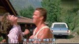 老虎不发威当我是病猫