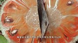 看牛人如何轻松剥菠萝蜜，一把小刀就能搞定，看完学到了
