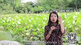 该不该销掉一张额度很低的信用卡？