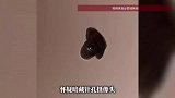 女厕现“黑色发光孔洞”，顾客质疑是针孔摄像头，商场紧急回应
