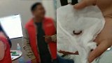 员工因业绩不达标被要求吃蚯蚓：拒绝需打500元借条代替处罚