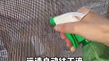 家里纱窗多久没清洁了分享简单方法，灰尘自己掉下来