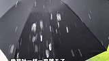 我敢说你没见过这么有意思的伞 雨伞 自动雨伞