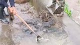 村主任摊上事了，不下雨的时候不注意疏通