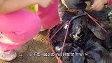 男子下湖里摸宝贝，带上岸打开后孩子们惊喜了