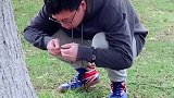 挖蚯蚓居然挖出钱来，刷到的都有好运大年三十 2021新春日记