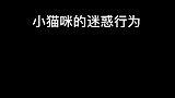 我太难了，每次肚子饿吃不饱还用眼睛斜我