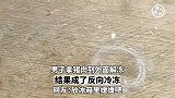 男子拿猪肉到外面解冻，结果成了反向冷冻