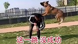 这的狗会功夫！眼前一幕，绝对是警犬的好苗子
