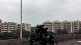 我可以化身成为一群乌鸦，你们千万不要招惹我