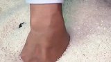 已经注意你三个月了，今天回家拿新米