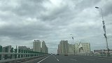 主人带着金毛远离市区去约会，一群金毛在一起玩耍，这生活太美好