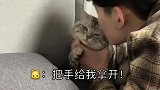 亲亲自己的主子咋就这么难你们的也这样么