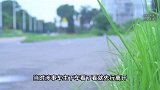 14岁初中生小区被撞，孩子称肇事司机下车看了看就离开