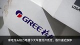 格力电器回应股价逼近跌停：对下半年较有信心