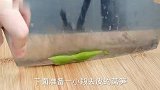 炒鱼香肉丝，最忌直接下锅炒了，多加2步，酸甜开胃真下饭