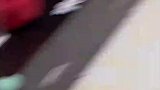 兔子半夜不睡觉，一直追着猫咪跑