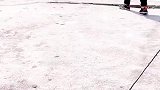萌娃去烈士陵园的路上采了很多小花