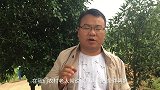 关系再好的邻居，有3样东西也不能随便借，看看你跟邻居借过吗