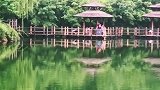 深潭碧水，绿意盎然，给炎炎夏日带来丝丝清凉