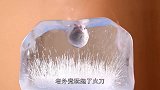 1000度火刀VS纸巾，纸巾会是怎样的下场？一起来见识下！