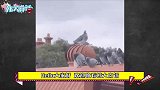 孙一宁黑料明明那么多，网友为啥只骂王思聪？