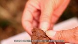 河北工程兵开山炸石，无意跌落山洞，没想到却发现西汉千年古墓
