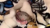 别怕，吱星不会再有病痛了