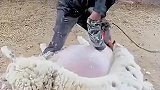 令人窒息的操作，你轻点