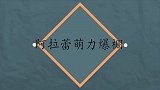 阿拉蕾萌力爆棚!自己出行准备行李,悲伤:玩具那么多手只有两只