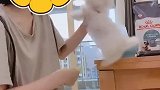 我不喜欢美女。美女放开我