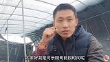 看两棵几千的冷门稀有多肉植物，马齿苋科名字叫白鹿，产地非洲！