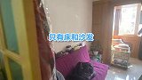 北京小哥爆改35㎡的大开间，一室一厅一人一猫三餐也挺好～ 生活成长计划 doudream创作者计划 装修