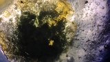 肉眼看似没问题，实际已经长有霉菌