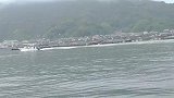 日本渔夫用蜜柑养鱼，所产的生鱼片带着浓浓的桔香，日本人真会吃