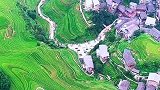 广西龙脊梯田金秋十月，梯田即将进入最佳观赏季节