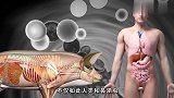 几个人体的玄学！