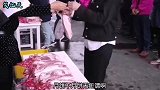 壁虎：老板你慢点开，我家在车尾呢，前面风太大我回不去啊