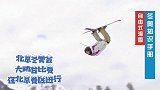 冬奥知识手册：雪上漫舞-自由式滑雪