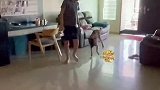 当汪星人第一次穿鞋子时！