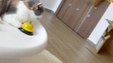 一定要看到最后……